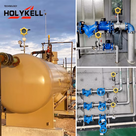 Holykell Explosionsgeschütztes LCD-Display GPRS 4G Drahtloser Wasserdrucksender